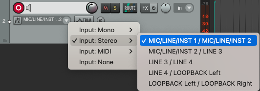 Reaper - Audio Track inputs.png