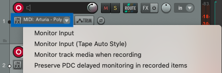 Reaper - Disabling Input monitoring.png