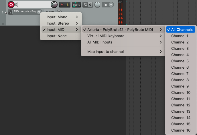 Reaper - Track Midi port + Channel.png