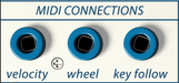 connections midi output